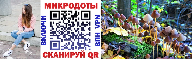 где купить наркоту  MEGA зеркало  Псилоцибиновые грибы MAGIC MUSHROOMS  Елабуга 